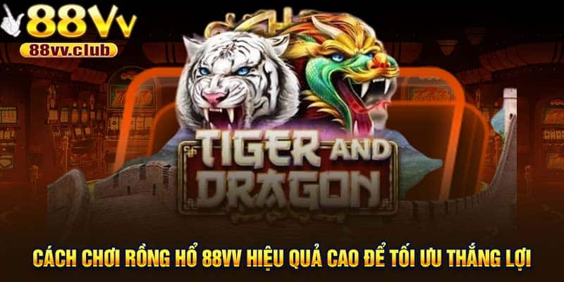 Cách chơi rồng hổ 88VV hiệu quả cao để tối ưu thắng lợi