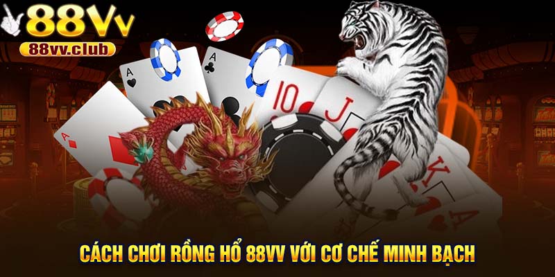Cách chơi rồng hổ 88VV với cơ chế minh bạch 