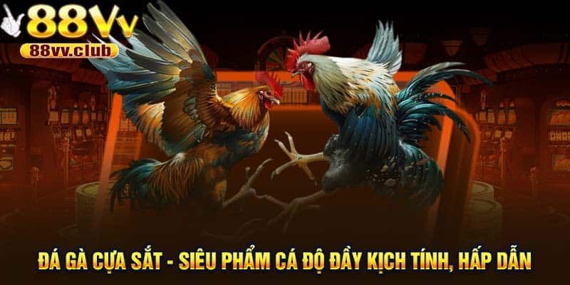 Đá gà cựa sắt - Siêu phẩm cá độ đầy kịch tính, hấp dẫn