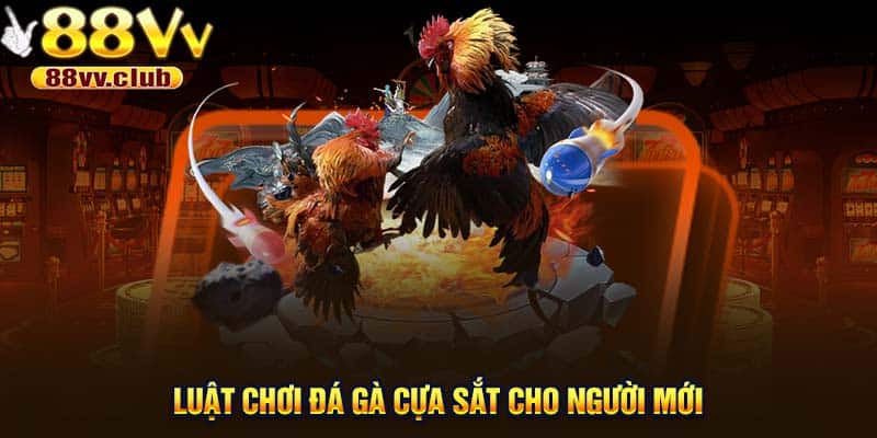 Luật chơi đá gà cựa sắt cho người mới